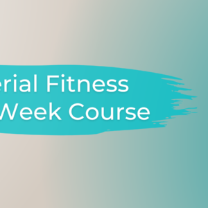 Aerial Fitness 4 Week Course